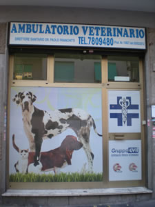 Ambulatorio Veterinario Tuscolano