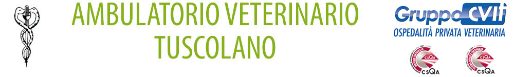 Ambulatorio Veterinario Roma Tuscolana - Appia